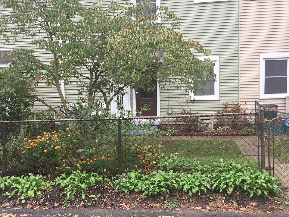 Service Side late summer 