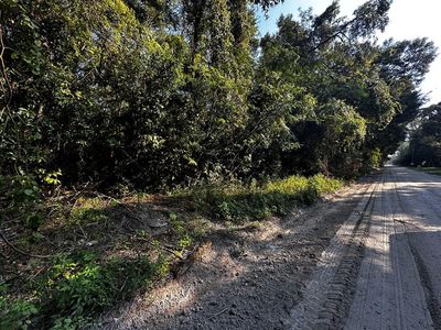  NW 67th Ter, Bell, FL, 32619