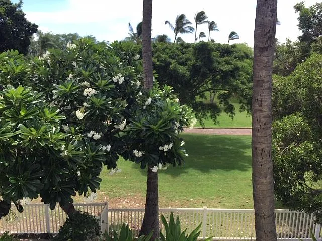 Aliinui Dr — Photo 40