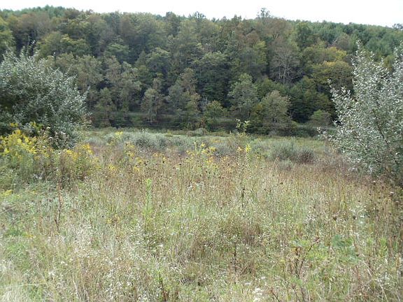 5th image of Lot 5-6 Poplar Hill Dr.
