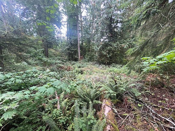 3rd image of 30301 SE 396th Street