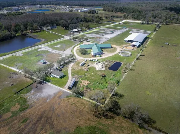 29319 Hadlock Dr, Wesley Chapel, FL 33544