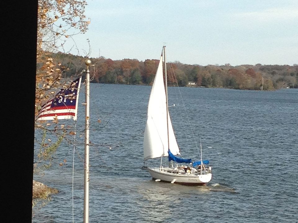 View From Back Deck