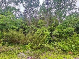 41 Misty Morning Ct, Presque Isle, MI 49777