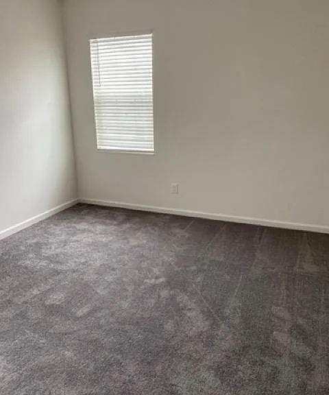 539 Potere Dr — Photo 22