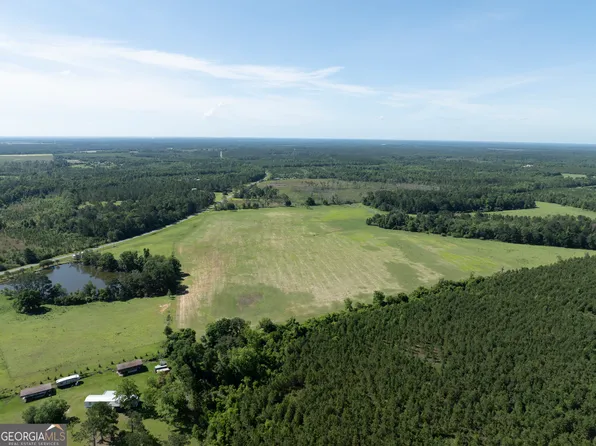 3349A Scotland Rd, Alamo, GA 30411