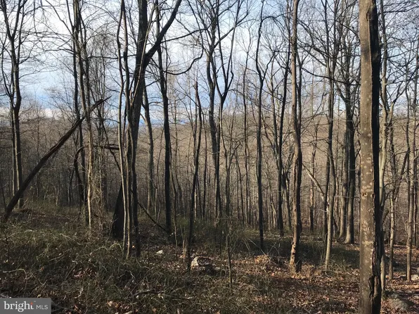 LOT 2M Whitetail Ln, Front Royal, VA 22630