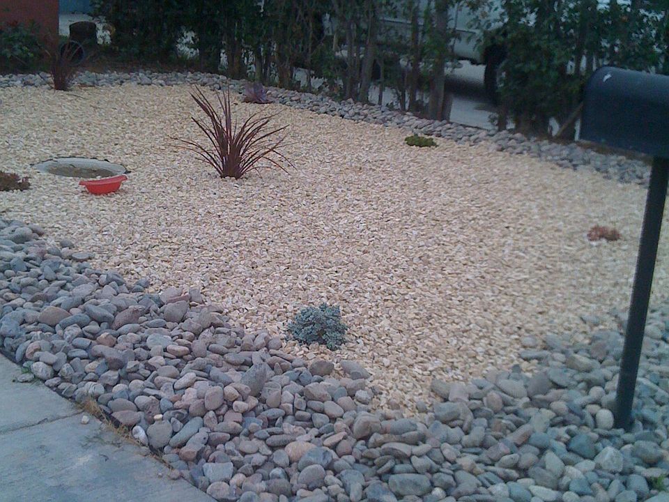 New drought-resistant yard