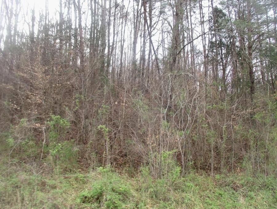 2nd image of 0 Pumpkin Hollow Rd