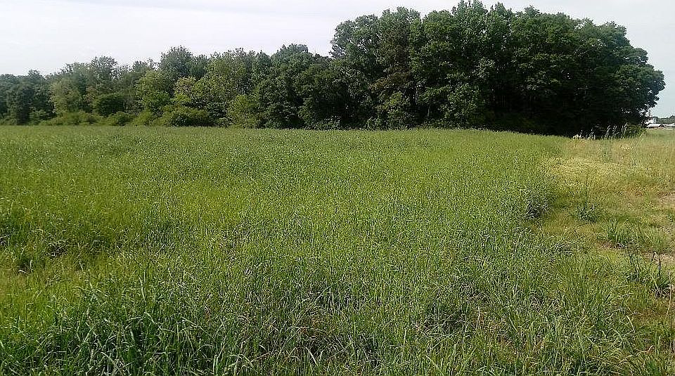 2nd image of River Bend Rd