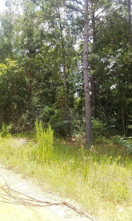 2nd image of 000 Eldridge Road