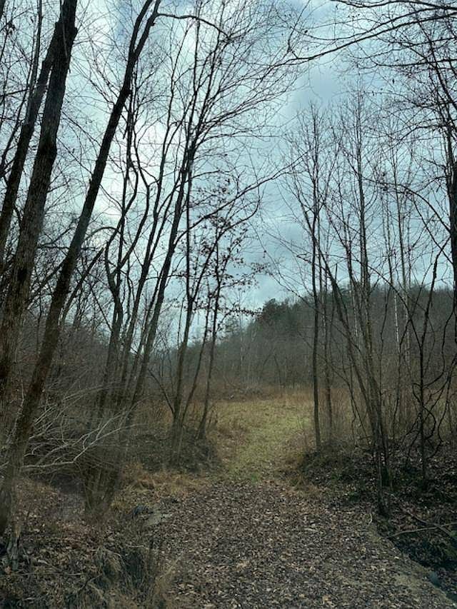 1000 Beechmont Rd, Sandy Hook, KY 41171 MLS 11233833 Zillow