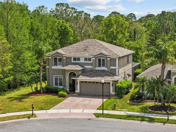 390 Rosalind Ln, Oldsmar, FL 34677