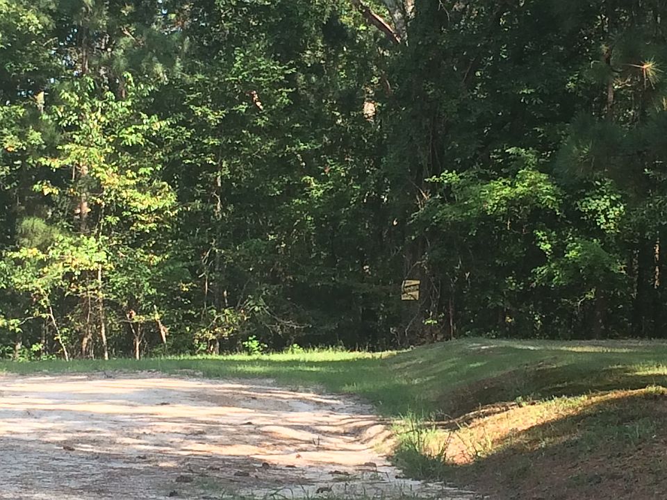 2nd image of 5 Acres Ofc Arlie