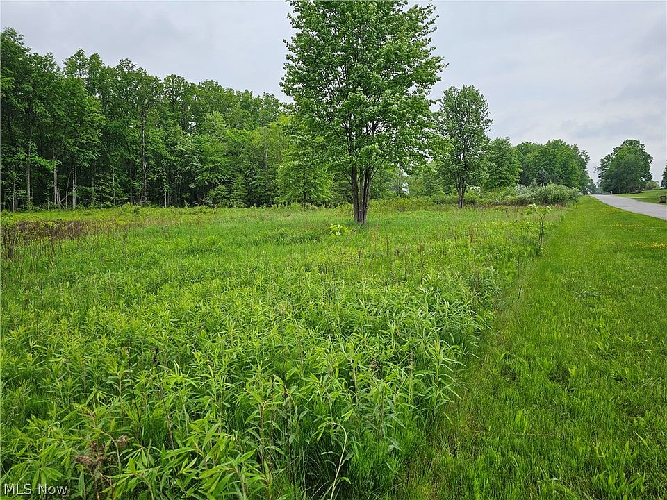 2nd image of Waynewood Dr NE