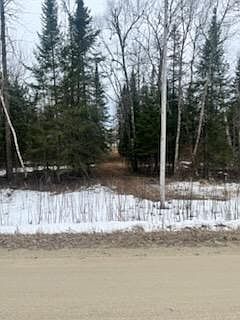 3rd image of 42585 N Little Turtle Rd