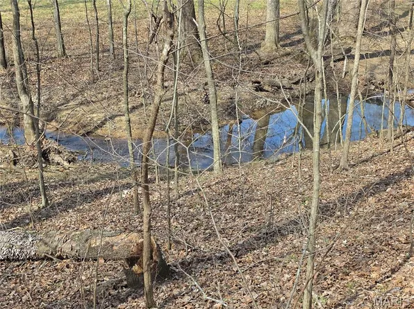 0 Highway O, Williamsville, MO 63967