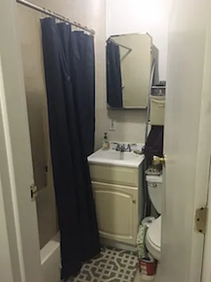 Rented by Pink Stone Realty LLC | media 19