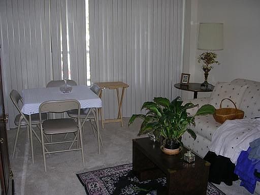 2nd Bedroom/Den
