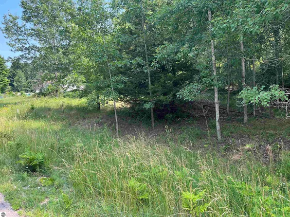 LOT 73 Hilltop Dr, Rapid City, MI 49676