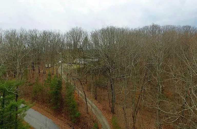 2480 Brand Dr — Photo 23