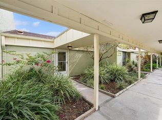 13512 Palmwood Ln, Tampa, FL 33618