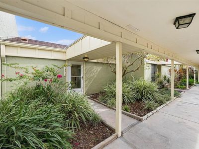 13512 Palmwood Ln, Tampa, FL, 33618