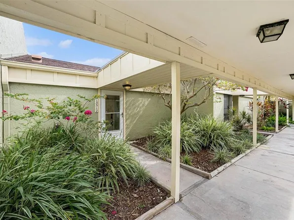 13512 Palmwood Ln, Tampa, FL 33618