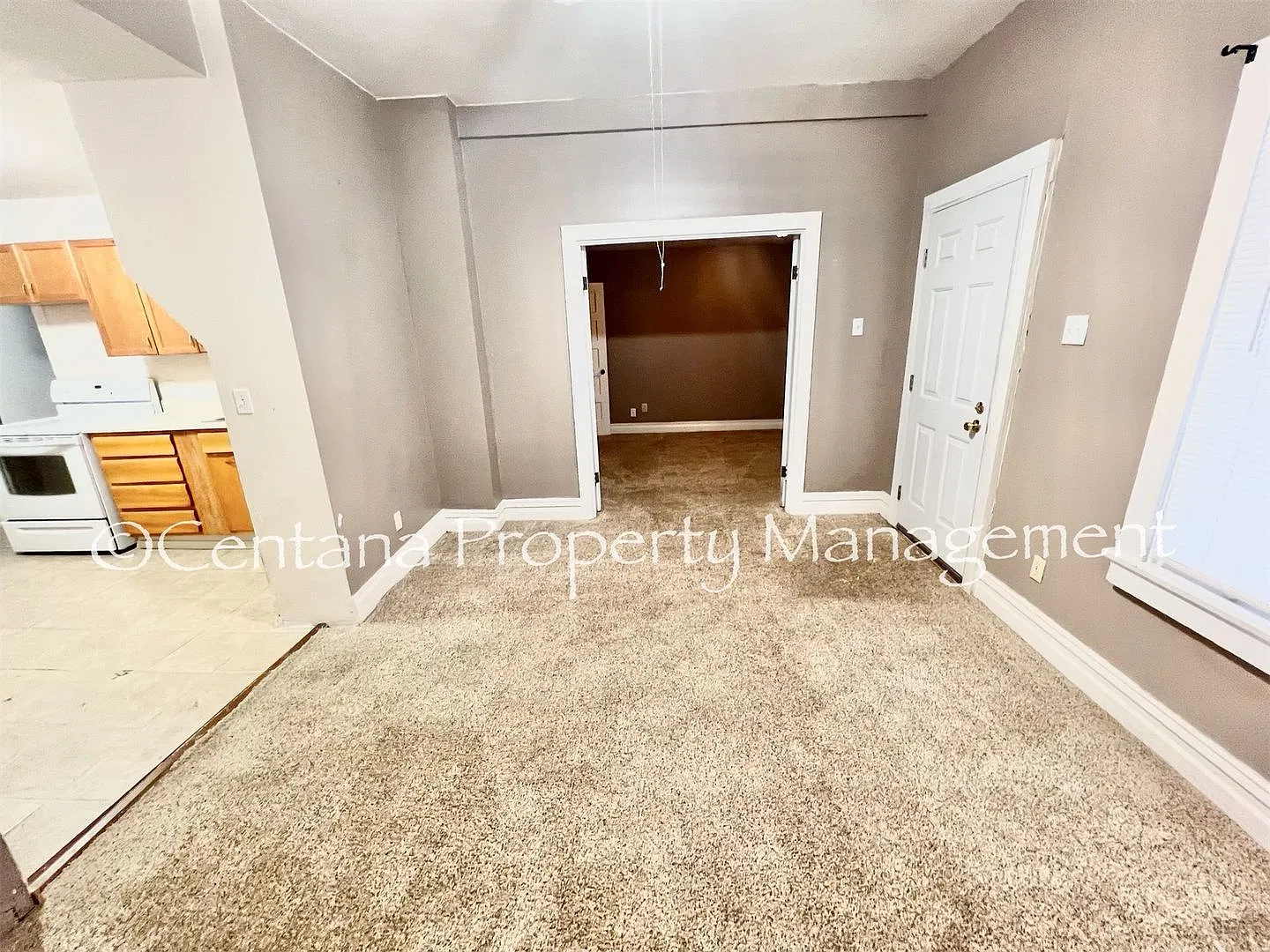 1030 Antimony — Photo 4