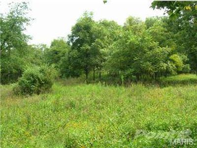 17452 Highway A, Richwoods, MO, 63071