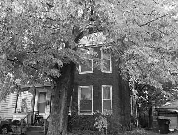 2nd image of 6137 Morton Ave