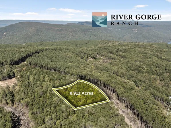 2160 Fallen Oak Pass Lot 2160, Guild, TN 37340