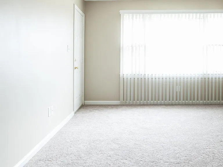 1118 Mount Rushmore Way — Photo 11