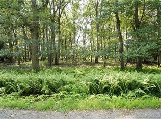 123 Broad Mountain View Dr, Jim Thorpe, PA 18229