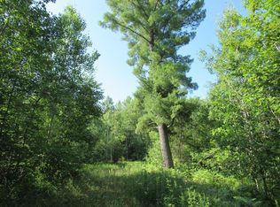 McConnaughey Rd, Hillman, MI 49746