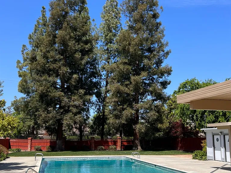 479 E Alluvial Ave #103 — Photo 39