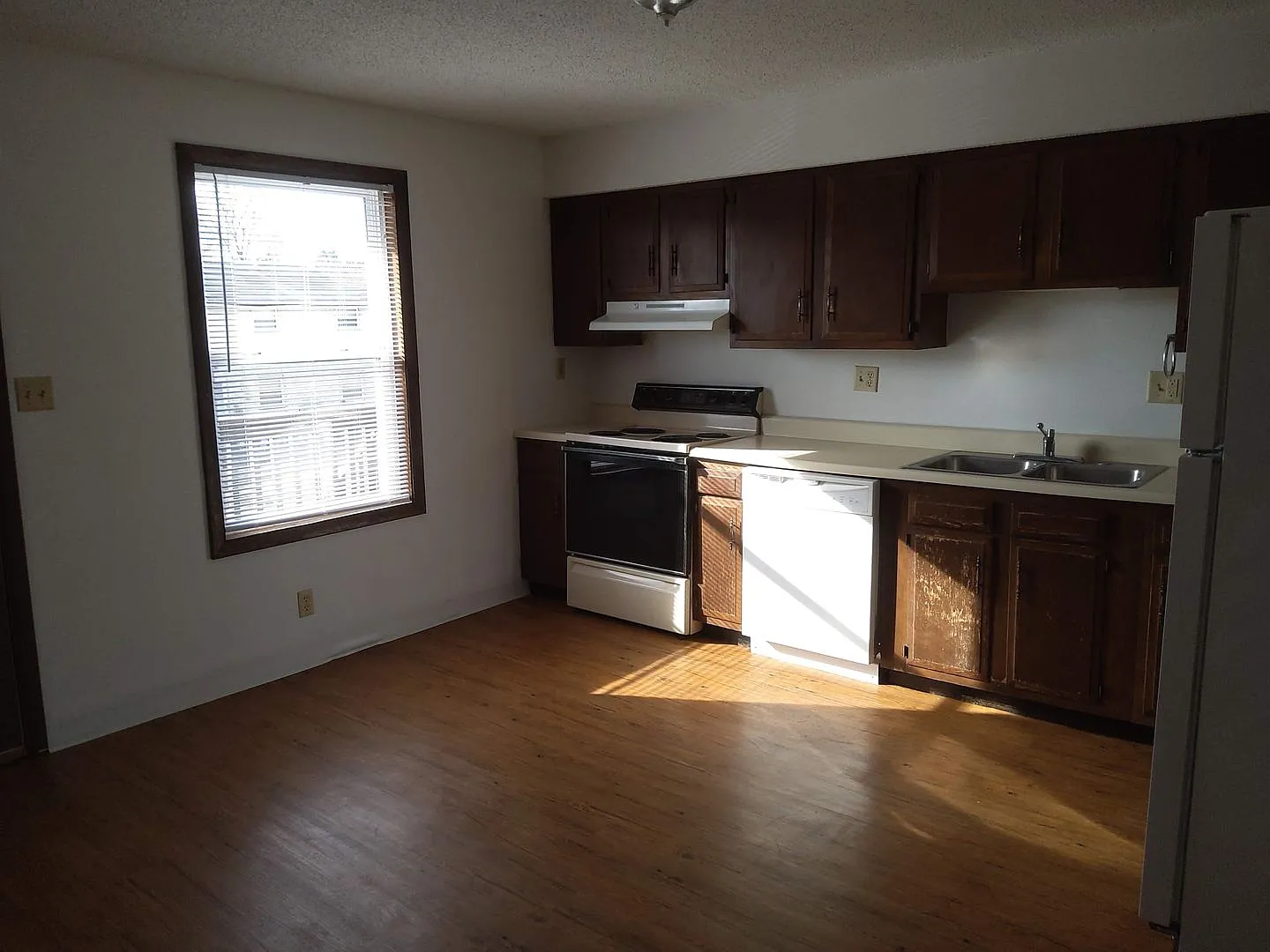 MIMOSA 3009 — Photo 3