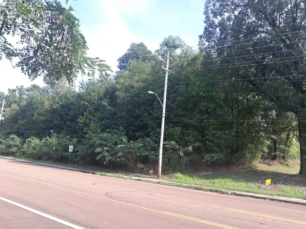 1307 W Raines Rd, Memphis, TN 38109
