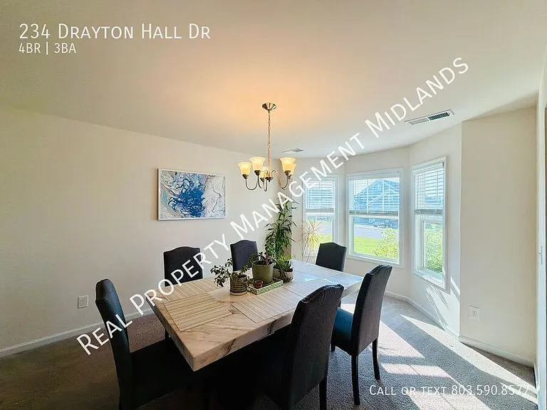 234 Drayton Hall Dr — Photo 4