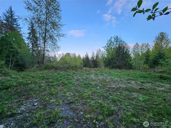 992 Sunrise Road, Brinnon, WA 98320