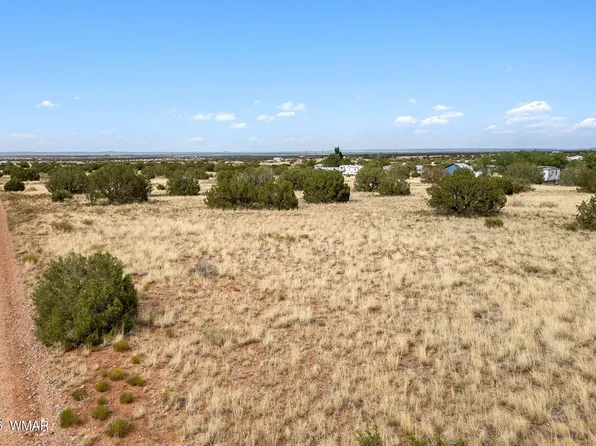 4473 Garibaldi Rd, Snowflake, AZ 85937