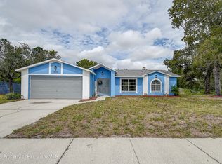 9219 Bay Dr, Spring Hill, FL 34608