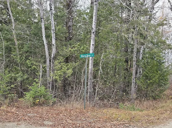 18 Black Bear Ln, East Machias, ME 04630
