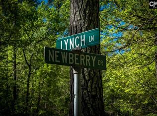 119 Lynch Ln, Chapin, SC 29036