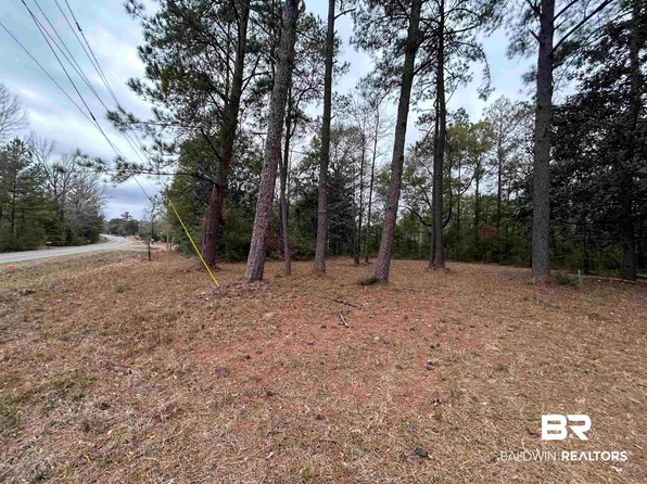 0 Chunchula Georgetown Rd, Chunchula, AL 36521