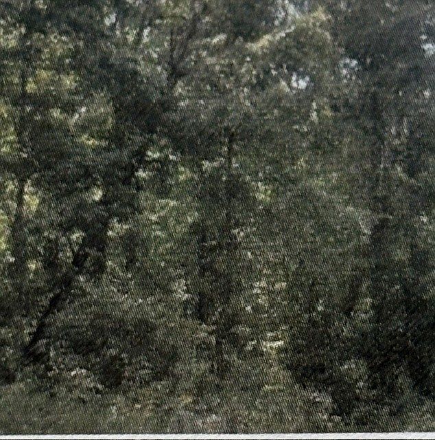 1st image of 0 Shilow Rd