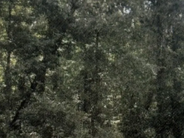 0 Shiloh Rd Lot 37, Beechgrove, TN 37018
