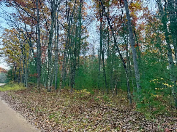 9157 E Riverside Dr, Irons, MI 49644