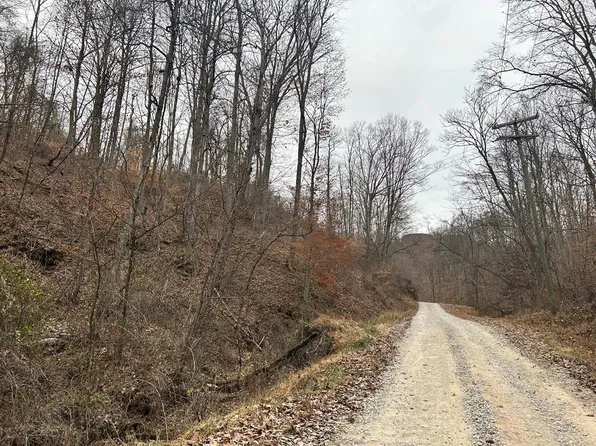33.5 Ac Turkey Run, New Martinsville, WV 26155