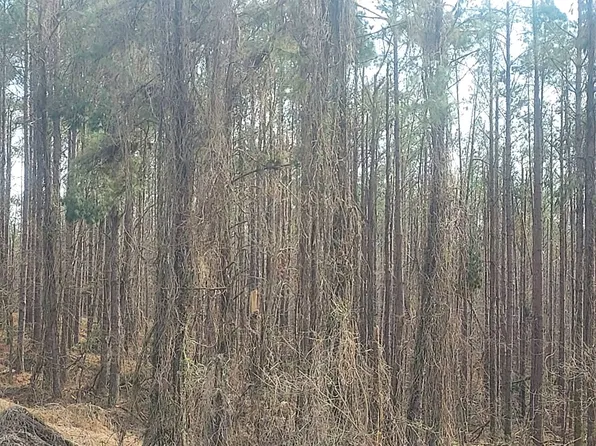 3550 Cole Hill Rd, Charleston, MS 38921